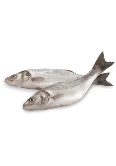 Halili (kg)